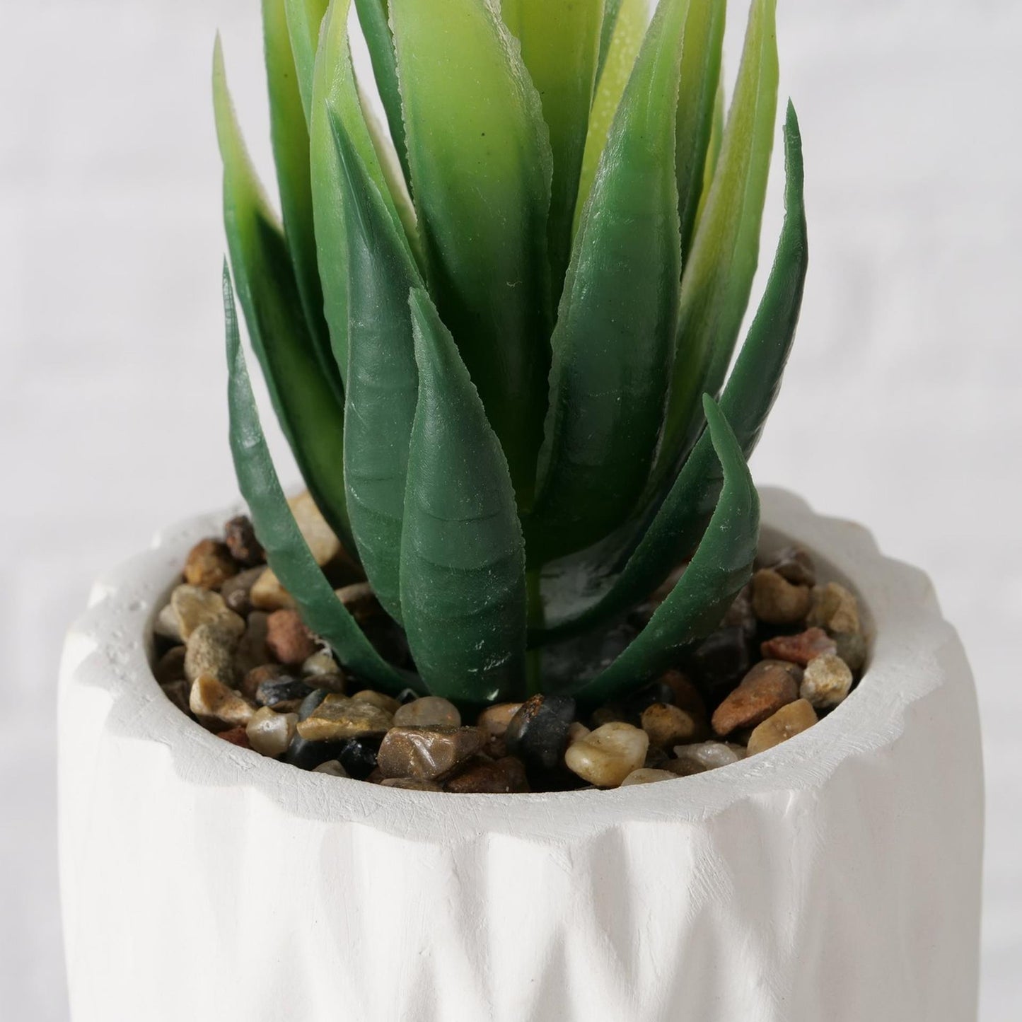 Boltze home pianta grassa artificiale in vaso bianco h15cm