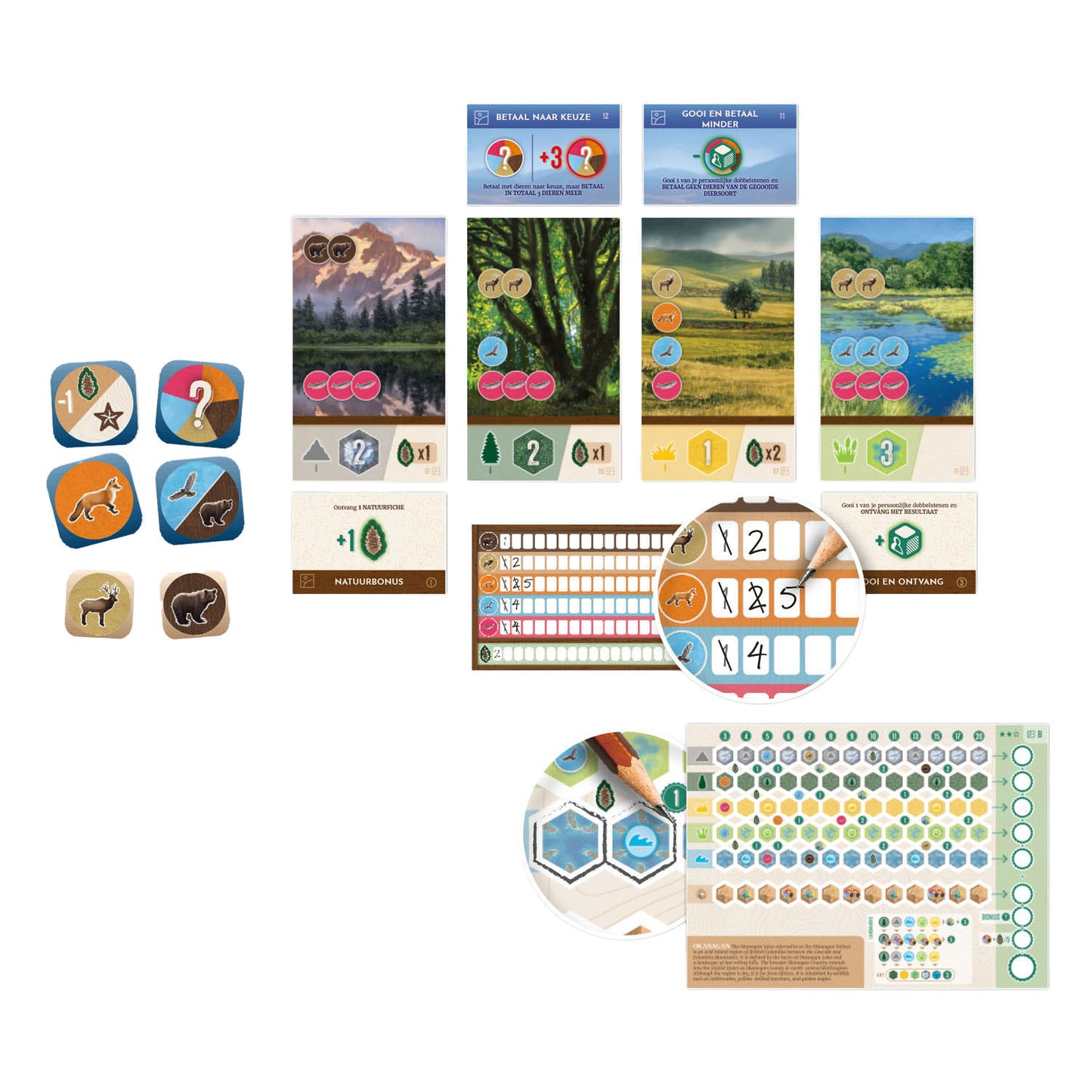 White goblin games cascadia - juego de mesa Rolling Hills