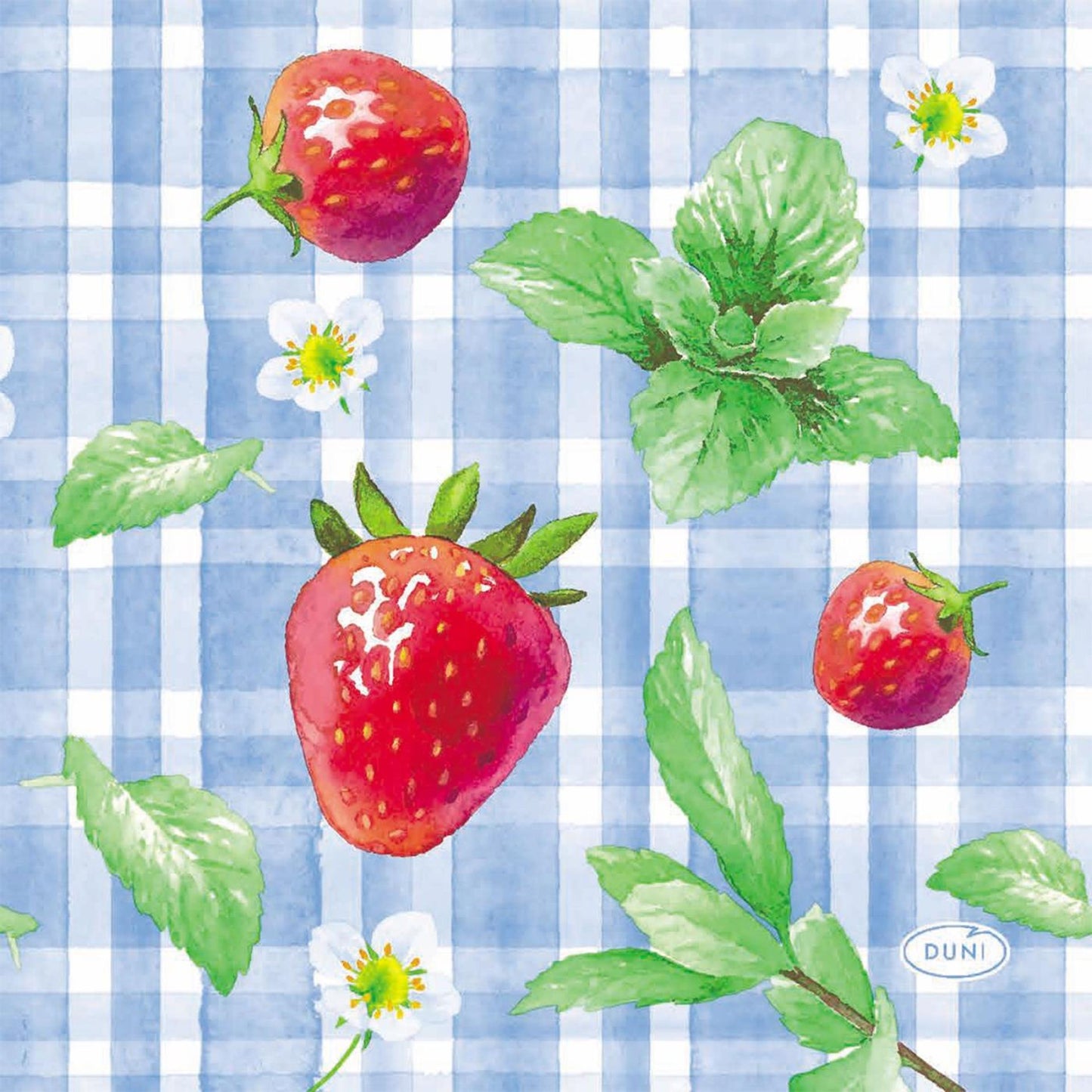 Tovaglioli Duni picnic fragola 24x24 cm