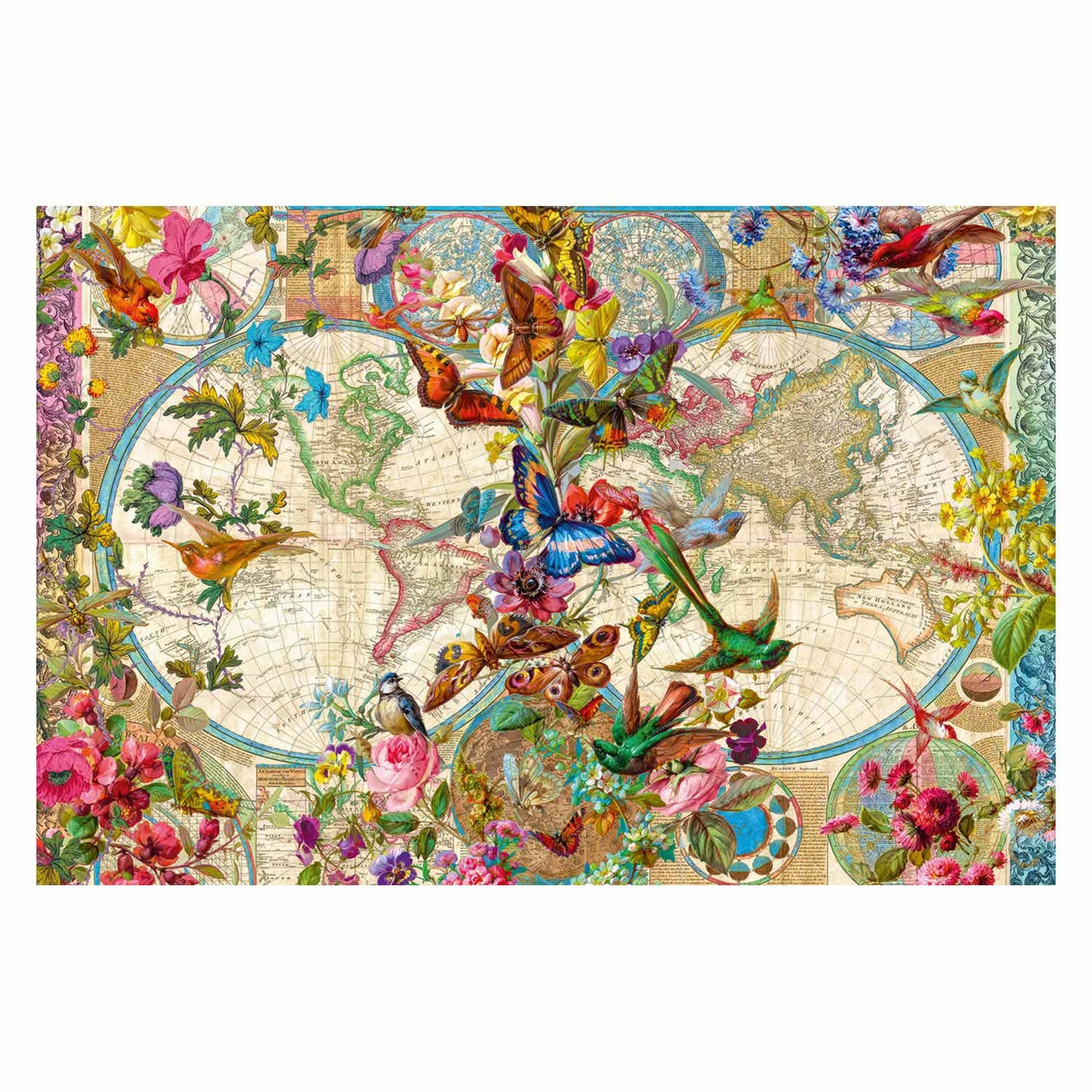 Mapa mundial de Plora y Fauna, 3000.