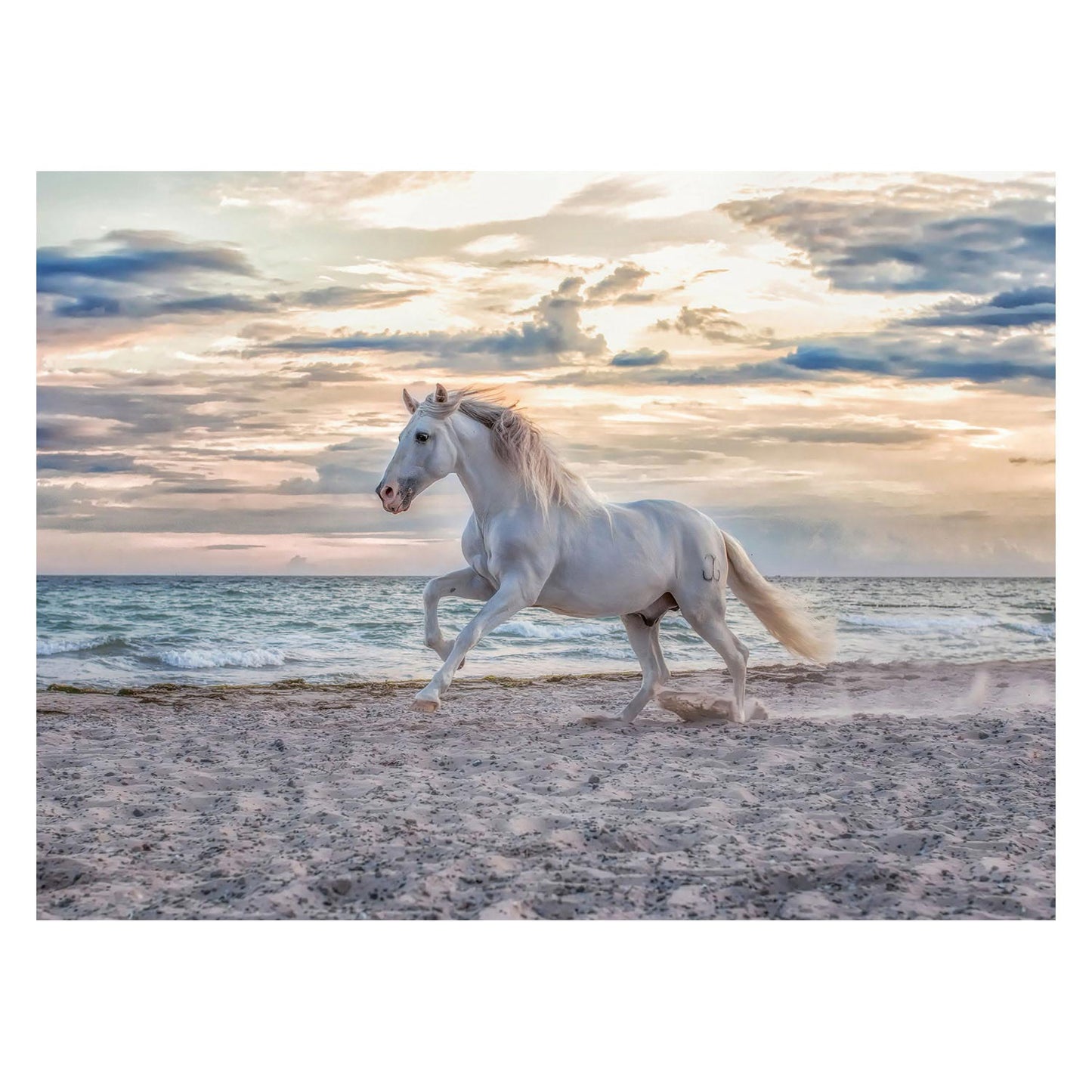 Ravensburger - Caballo en la playa Jigsaw 500st.