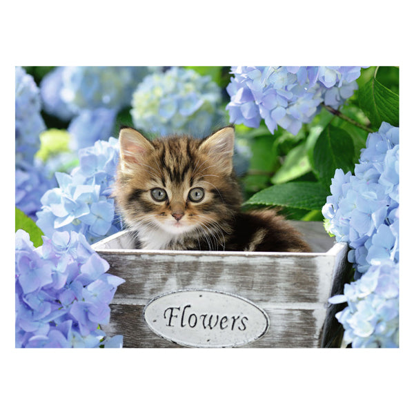 RAVENSBURGER puzzle puzzle xxl piccolo gattino, 300st.