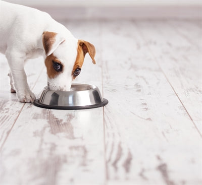 Happy PET che alimenta il secchio anti -Slip Spaniel