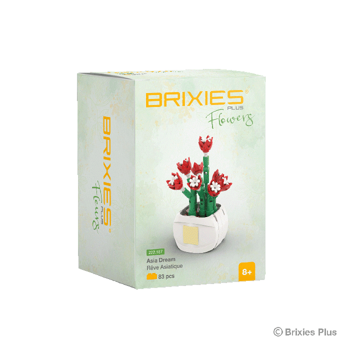 Bloques de construcción Oku Brixies Plus Flower Asia Dream