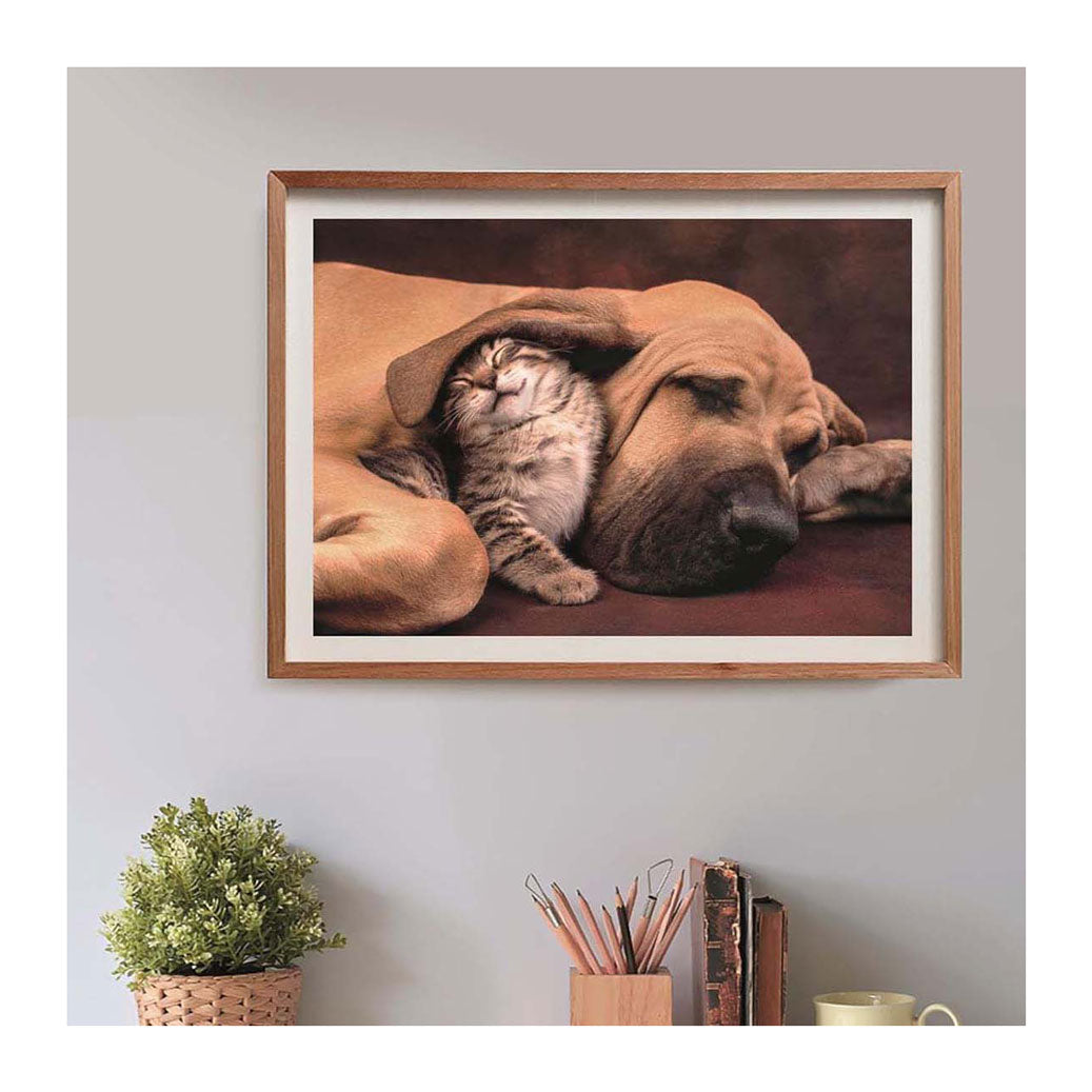 Clementoni Jigsaw Puzzle Dog and Cat, 500º.