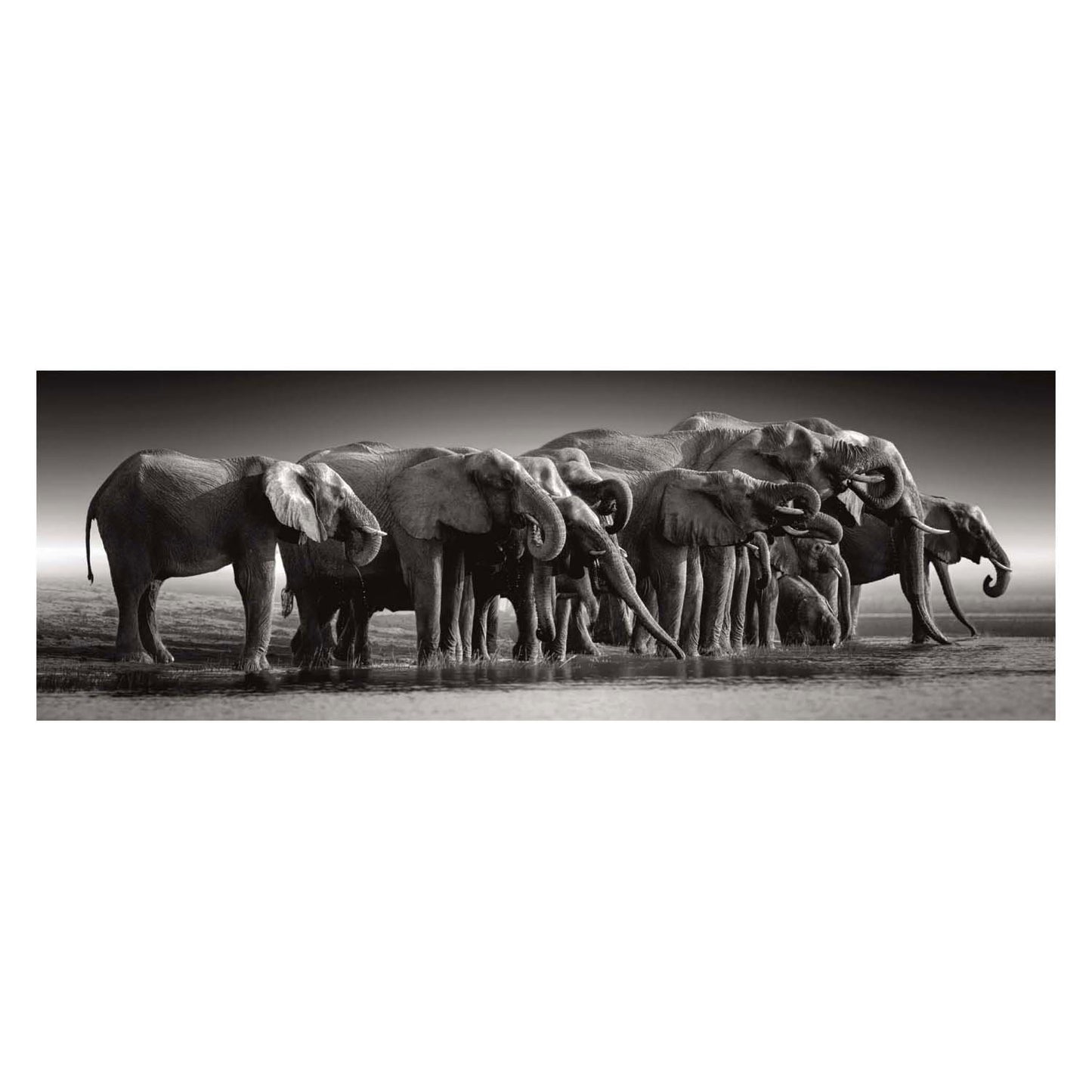 Clementoni Jigsaw Puzzle Herd o Giants, 1000st.