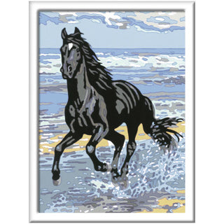 Dipingere con i numeri - Cavallo nel surf