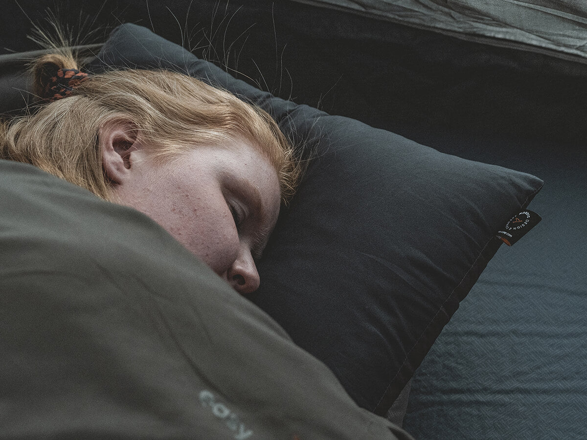 Easy Camp Raven Pillow