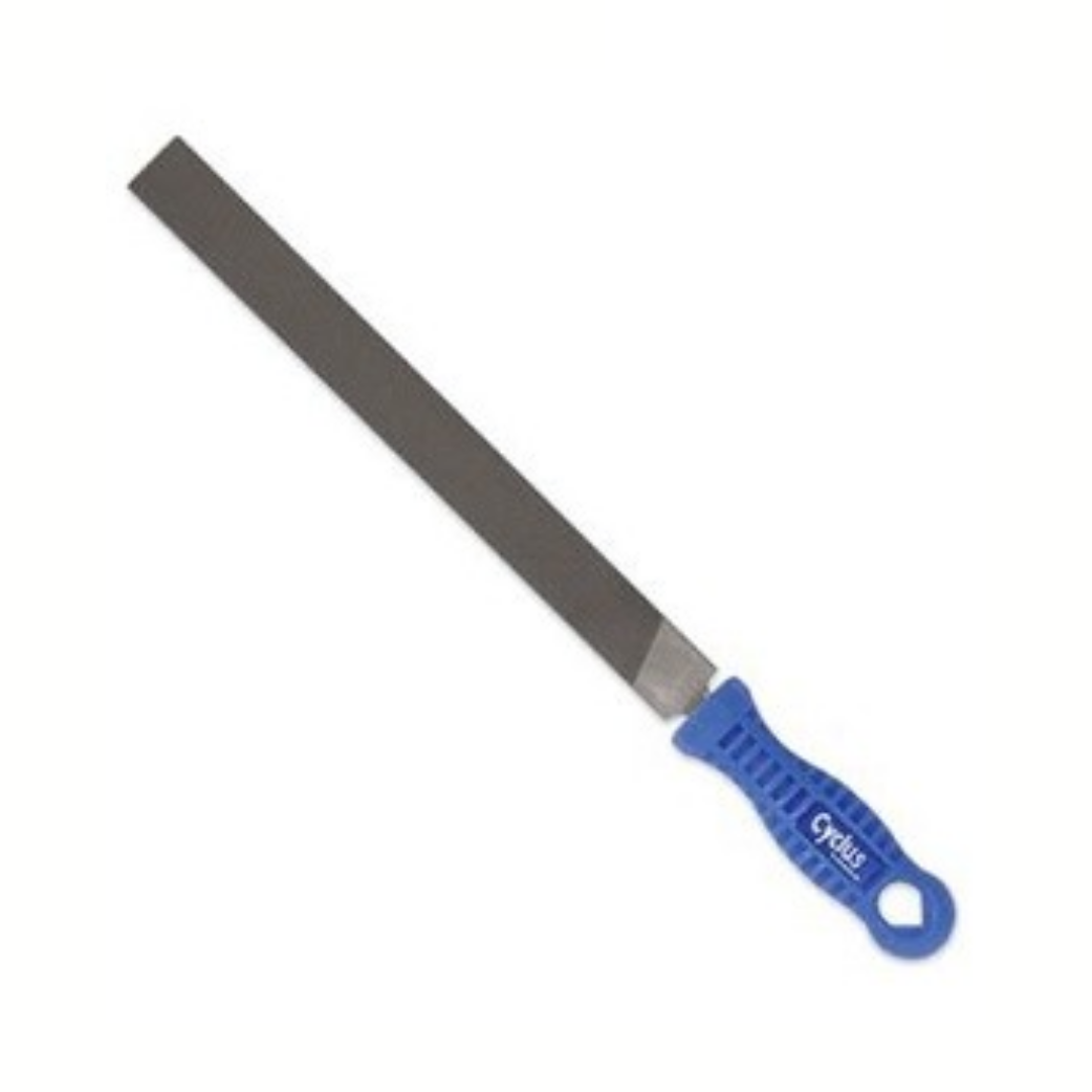 Cycplus File Place 250 mm ciclo 720540