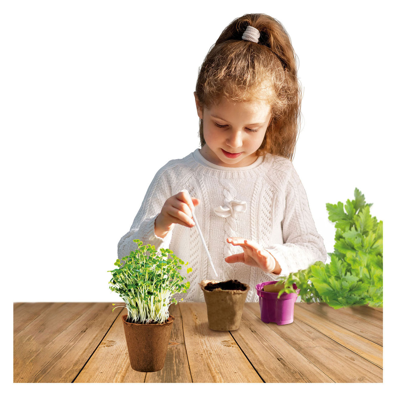 Cubierta infantil Experimento de cubierta para niños Set de jardín de hierbas s