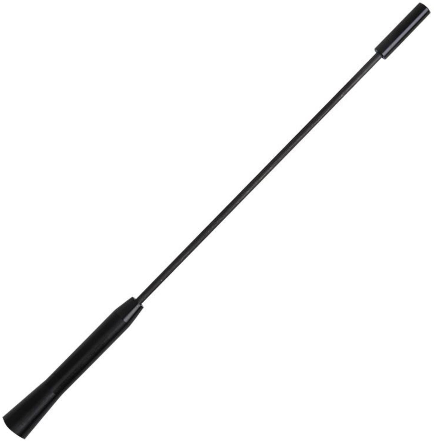 Autostyling seehase seehase antenna per auto antenne set universale autostyling