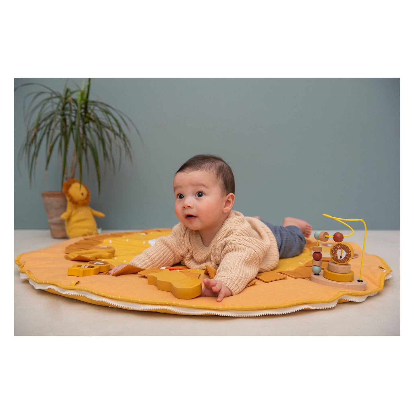 Actividades de Trixie Speelmat MR.