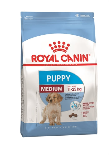 Cucciolo medio canino reale