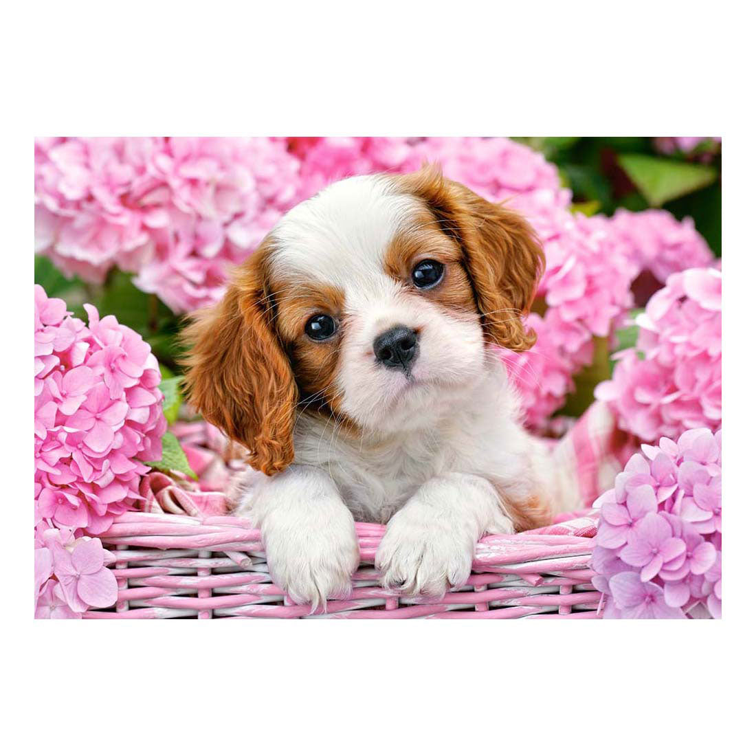 Selecta Castorland Jigsaw Puzzle Cuppy en flores rosadas, 500 °.