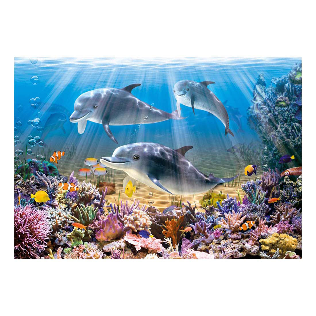 SelectA Castorland puzzle delfini puzzle sott'acqua, 500st.