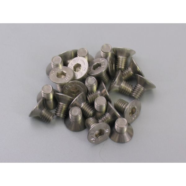 Bofix Allenbout M6X10 Acero inoxidable con cabeza hundida (25 piezas)