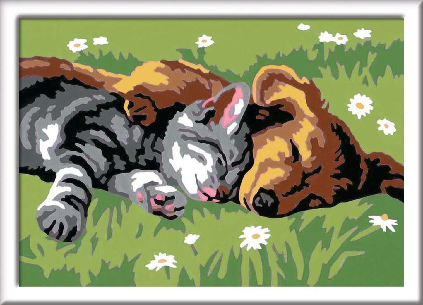 Ravensburger Creart Painting su numeri per cani e cani addormentati