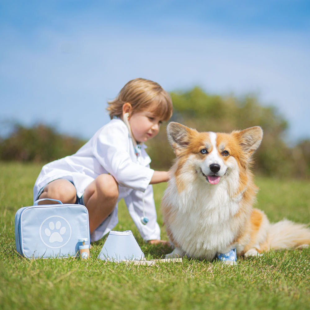 Bigjigs Animal Doctor VIEDA