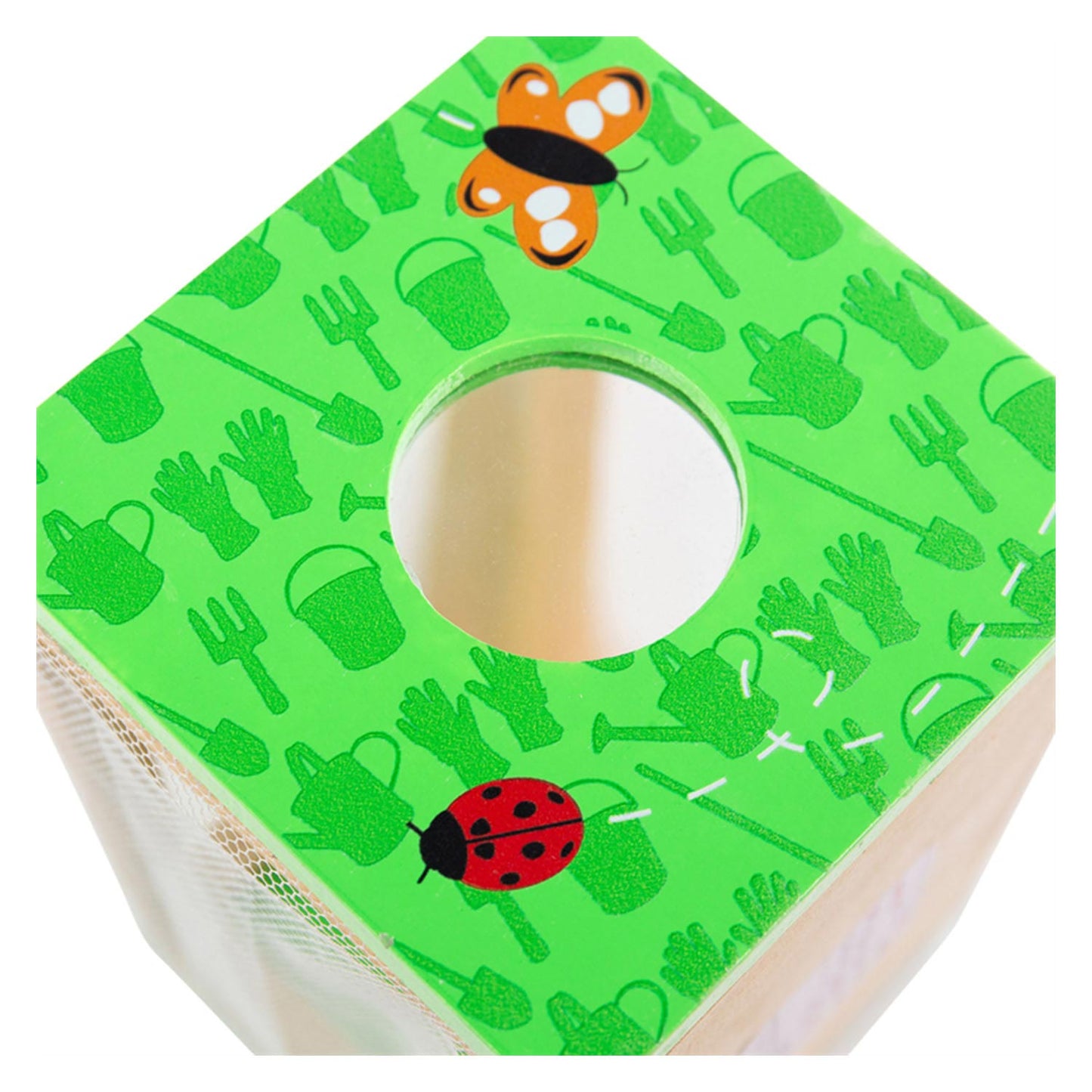 Bigjigs Insetti di legno di visualizzazione