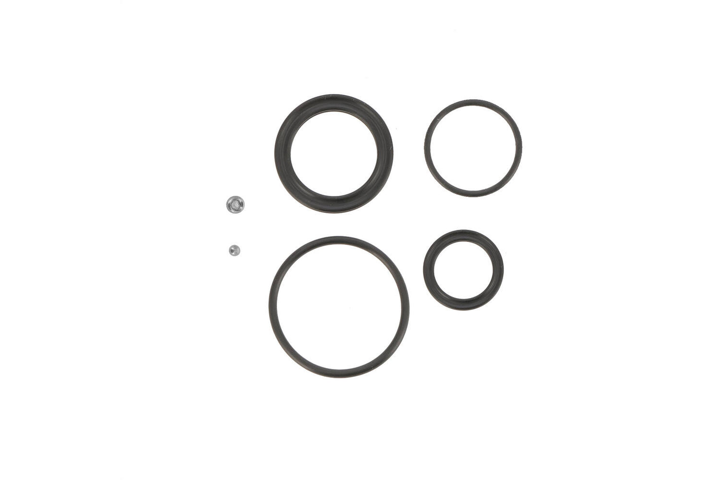 Kit di manutenzione srsuntour suntour paraolio rs raidon rba499-01