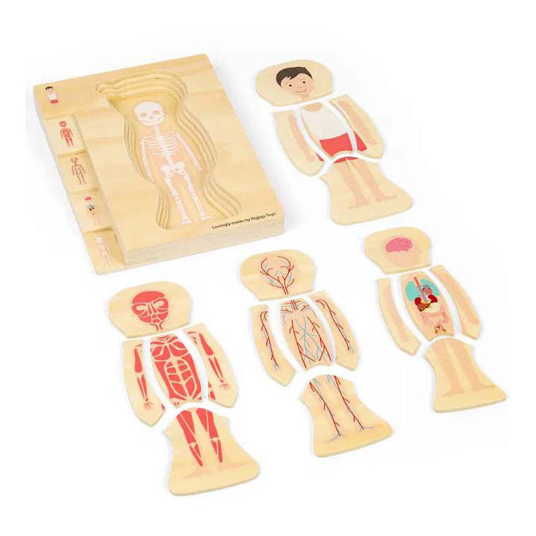 Bigjigs in legno anatomiepuzzel - ragazzo, 26st.