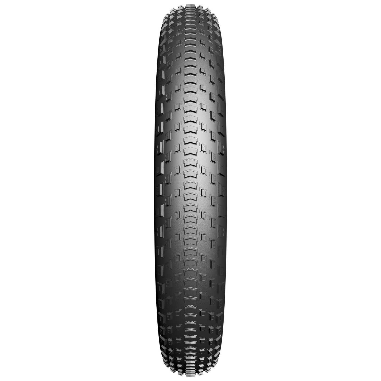 Fatbike Fatbike Fatbike de borde BST Protect 20 x 4.00 100-406 mm negro