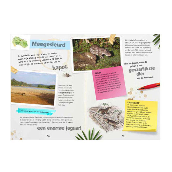 Casa central del libro diario de un explorador - expedición amazon