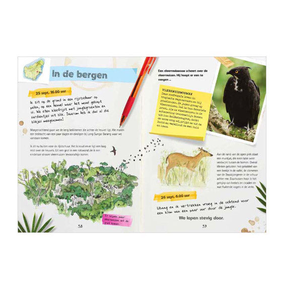 Libro central diario de un explorador - expedición a la selva tropical
