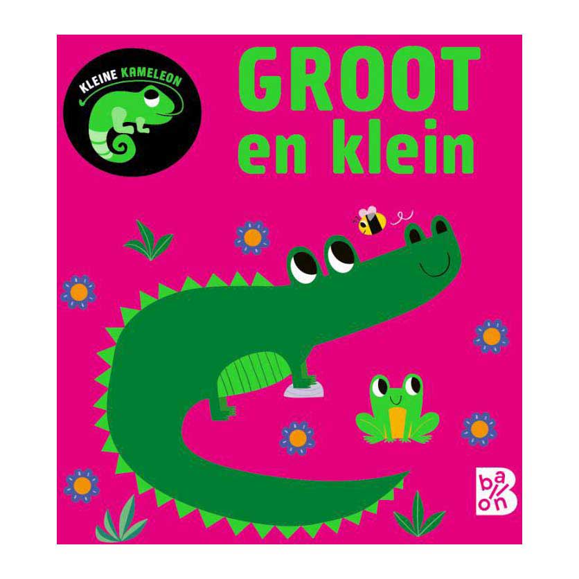Piccolo camaleonte editore standard - grande e piccolo 12m+