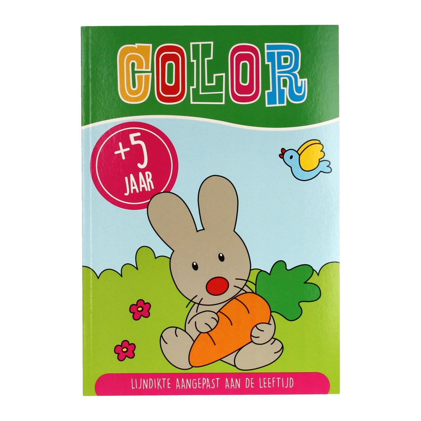 Color 5+ años de libro de color