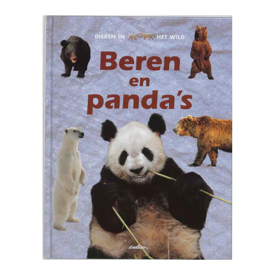 Editori di lanterne fauna selvatica: orsi e panda
