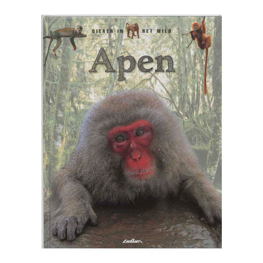 Vida silvestre de los editores de linternas - monos
