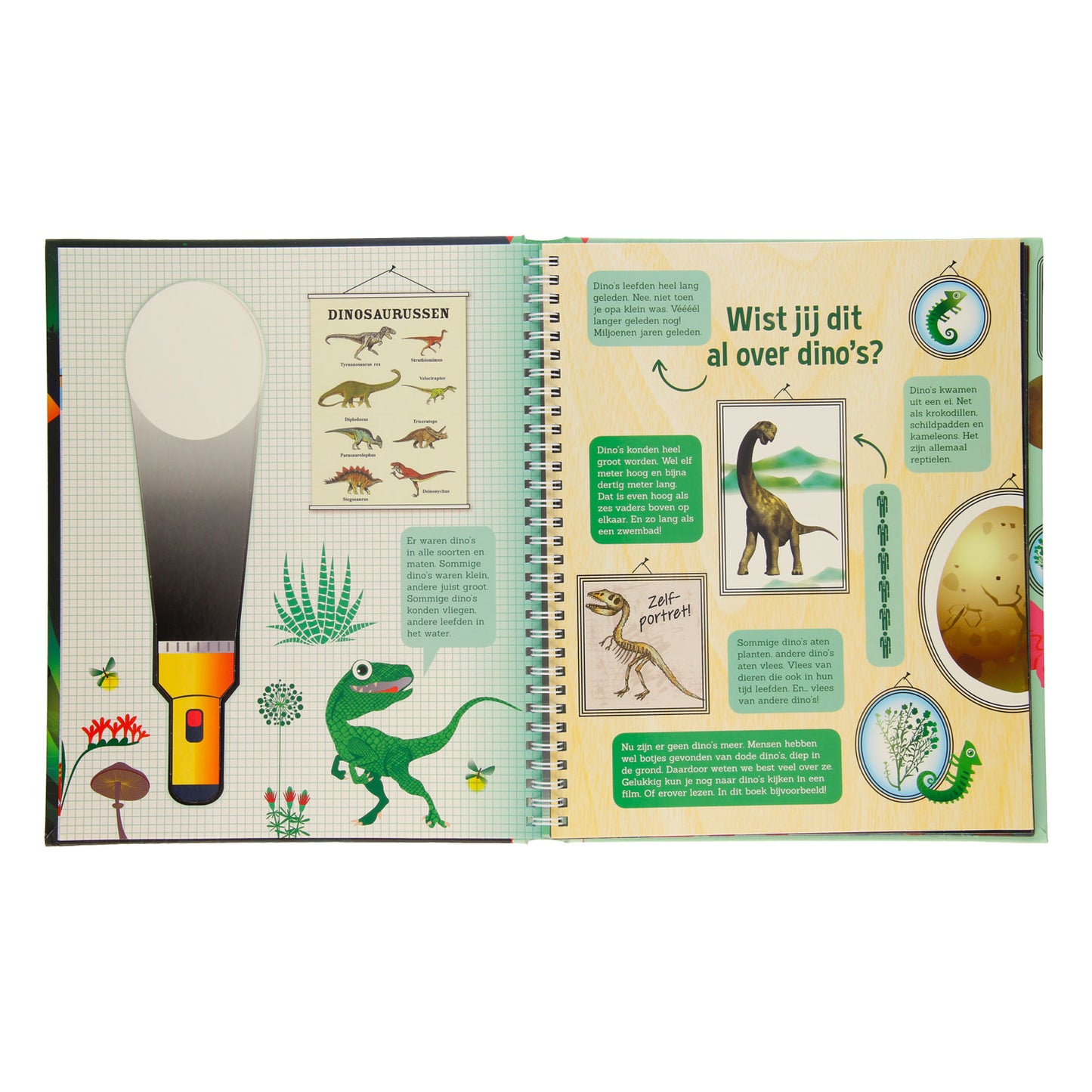 Cerca nella torcia di cartone Dinobos +