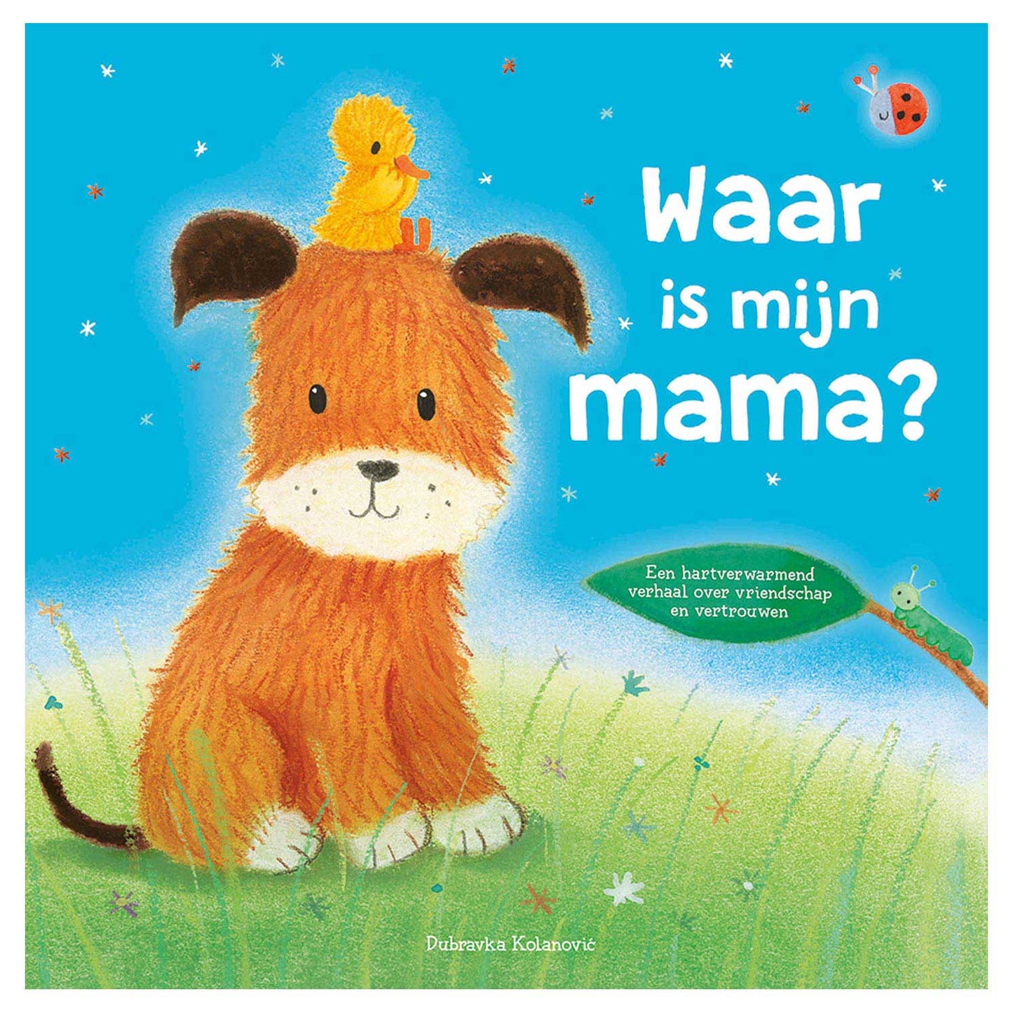 Rebo editori dov'è mia mamma?
