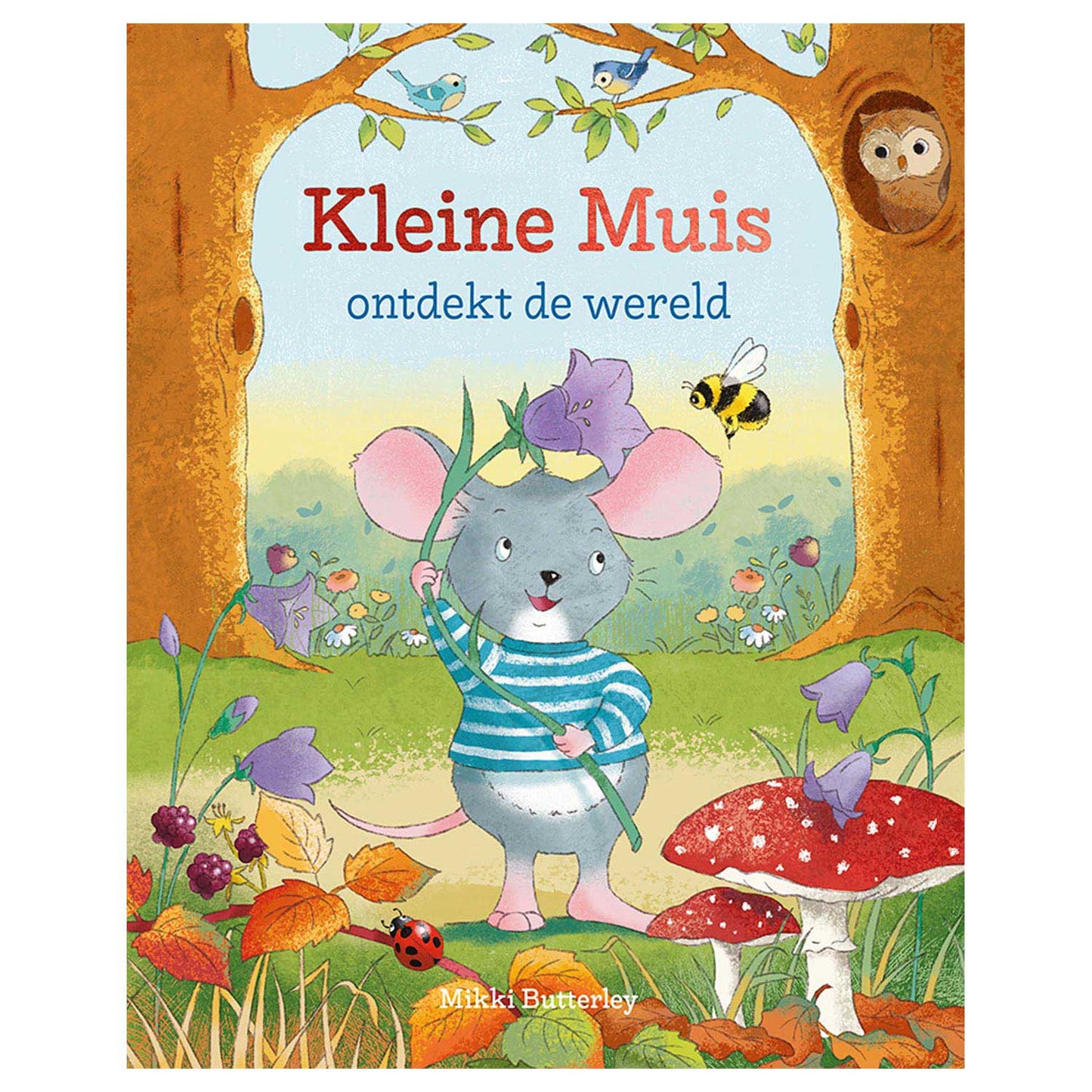 Rebo Publishers Kleine Muis descubre el mundo