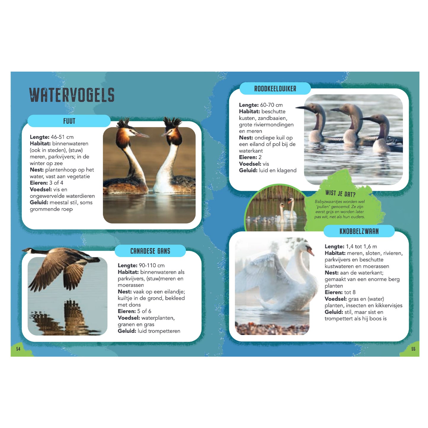 Rebo Editors Vogels Guide and Nature Diary for Children