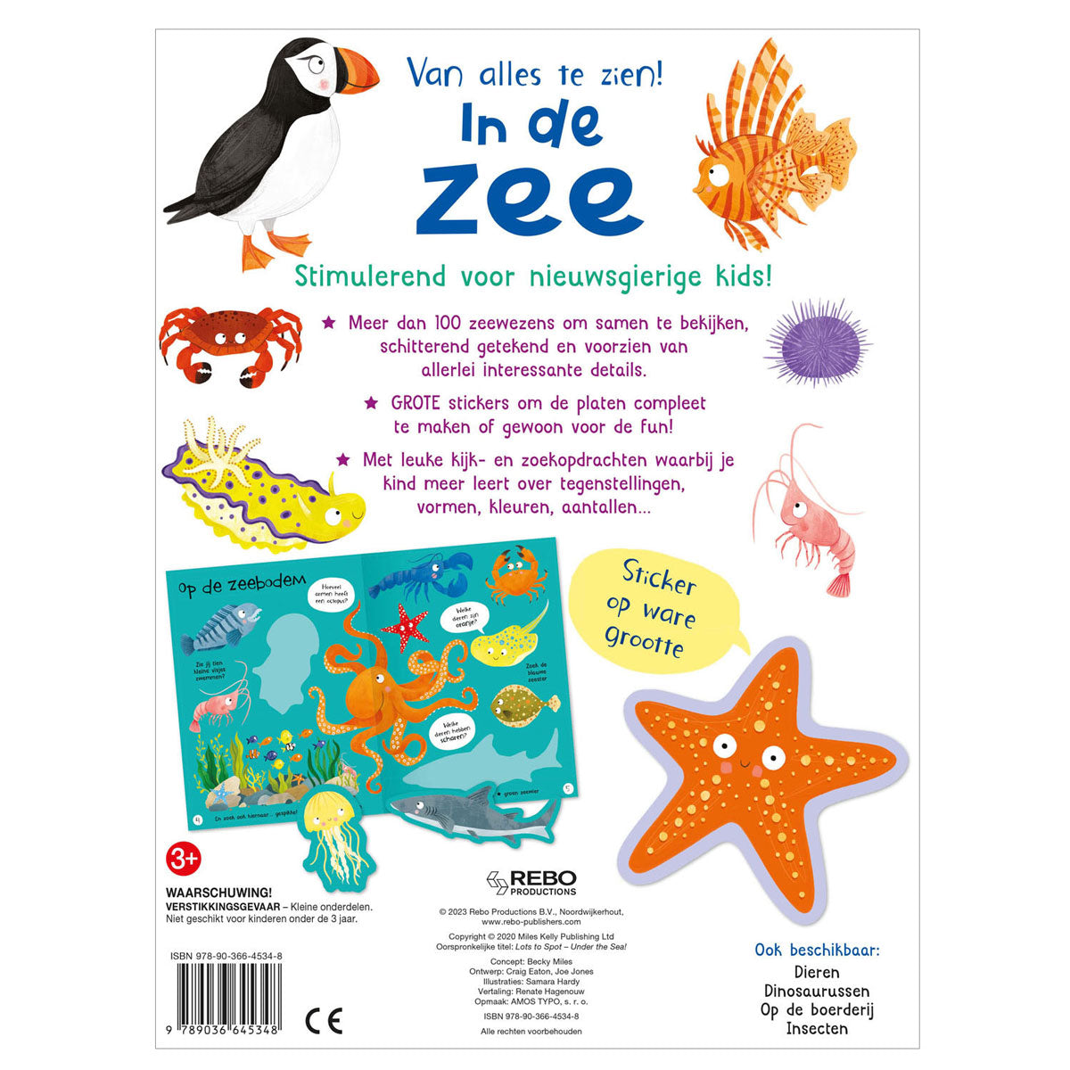 Rebo editori nel mare di tutto da vedere!