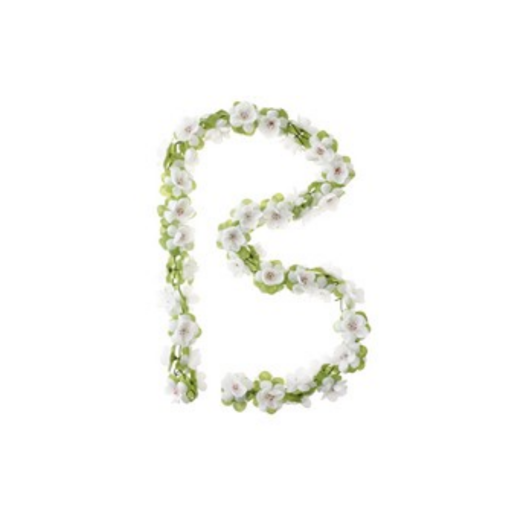 Garland de rosas de albahaca - Flower Streng - Blanco