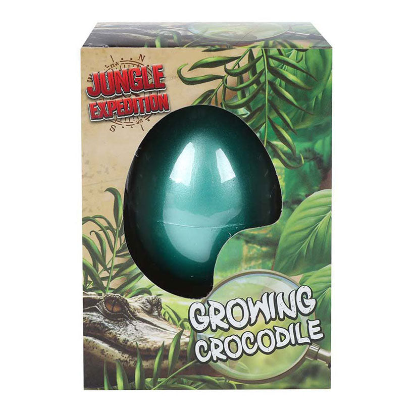Uovo Expediton con coccodrillo in crescita, 6cm