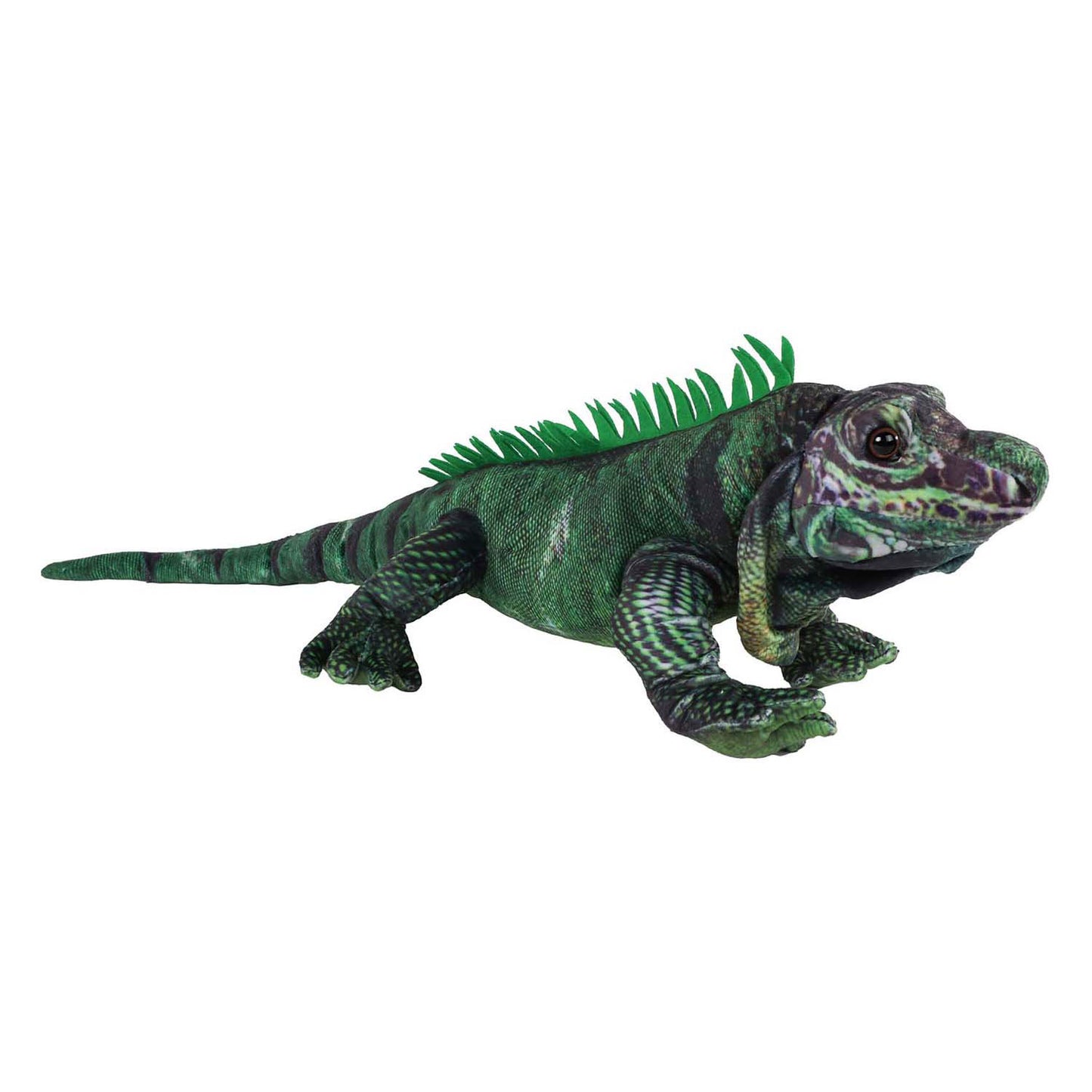 Jungle Expedition Iguana coccolosa coccolosa, 50 cm