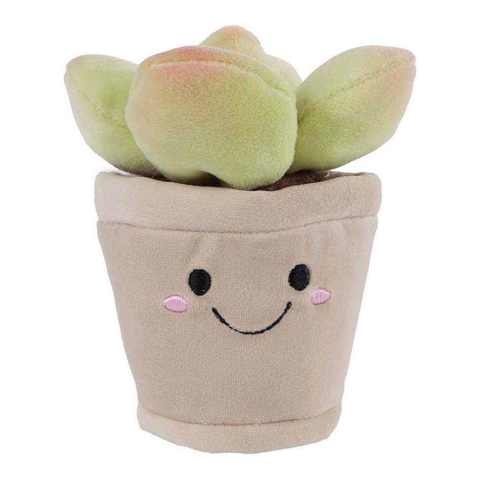 Peluche planta Llévame a casa - 13cm