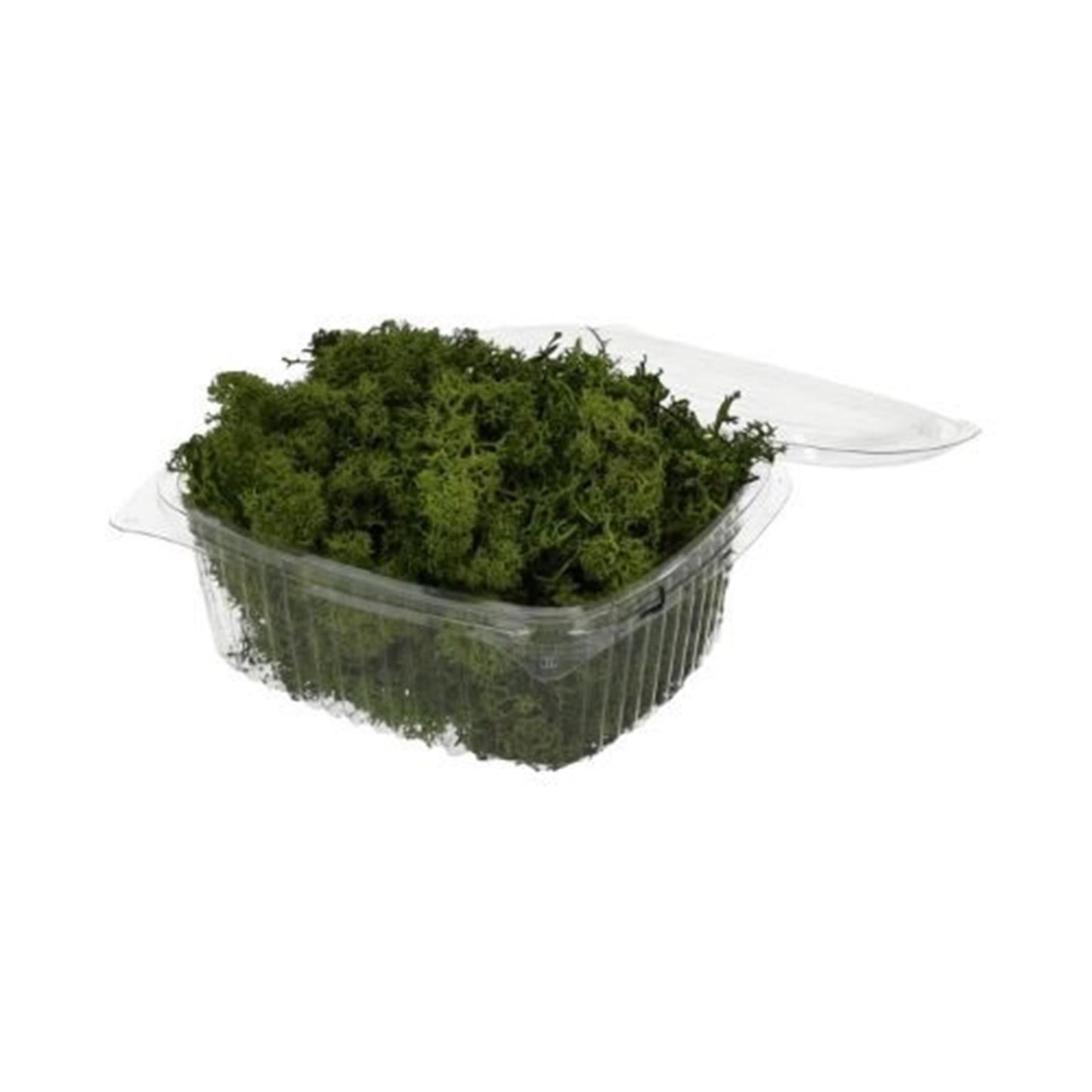 Hbx natural living rendiermos 50gr groen rendiermos 50gr groen