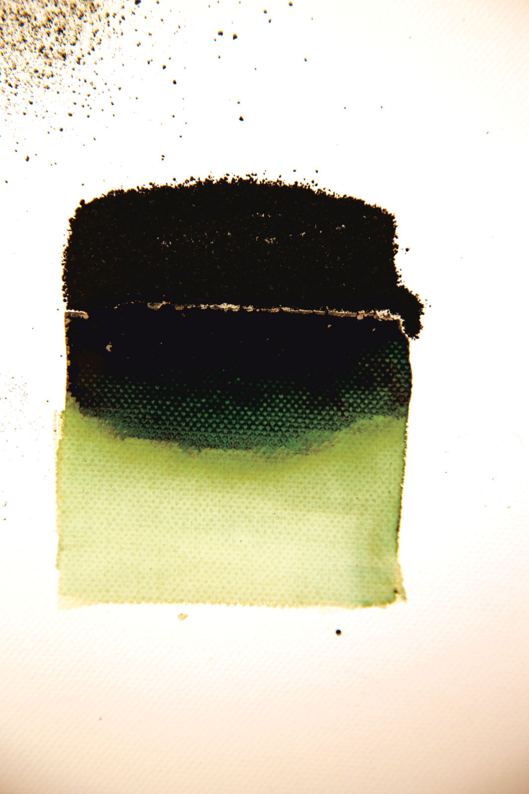 Powertex • polvere di bister 30g verde