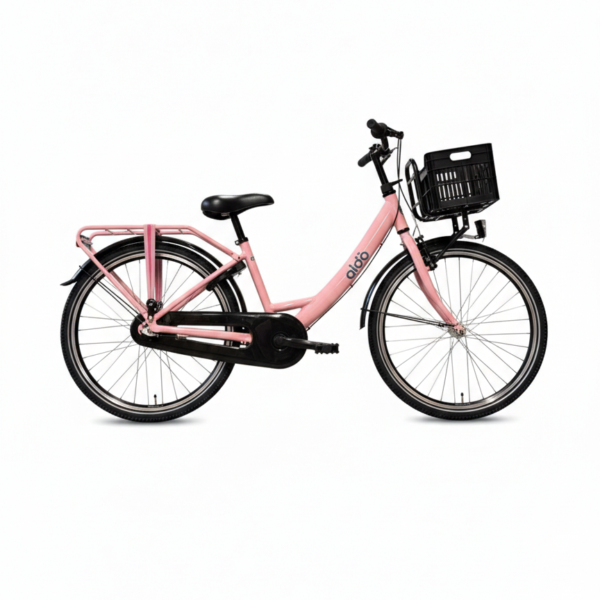 Bicicletta Aldo 24 pollici carino alluminio 3v rosa