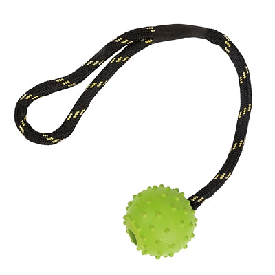 Happy Pet Toys Toys Toys Floater Ball Ball Rouw Assorti