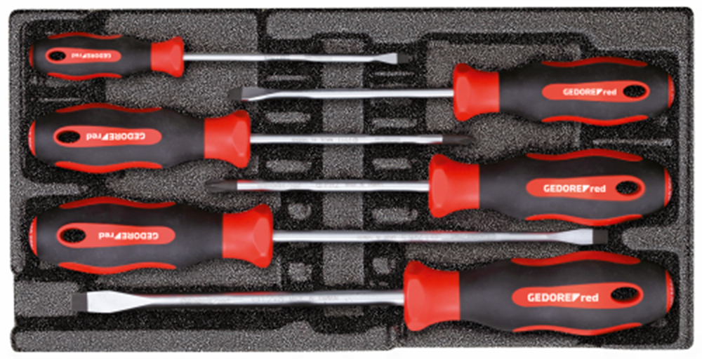 Gedore Red destornillador RECHE Cross (pH) + ranura de 6 piezas en el módulo