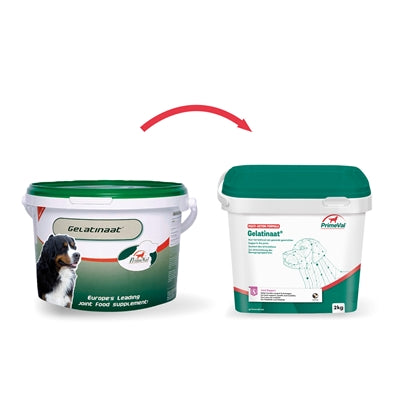 Cane gelatinato primordiale