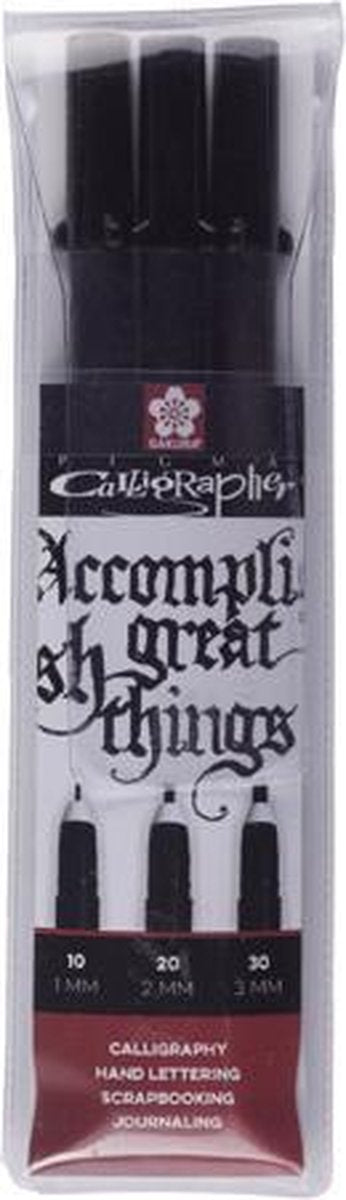 Sakura Pigma Calligraphy Set, 3dlg.