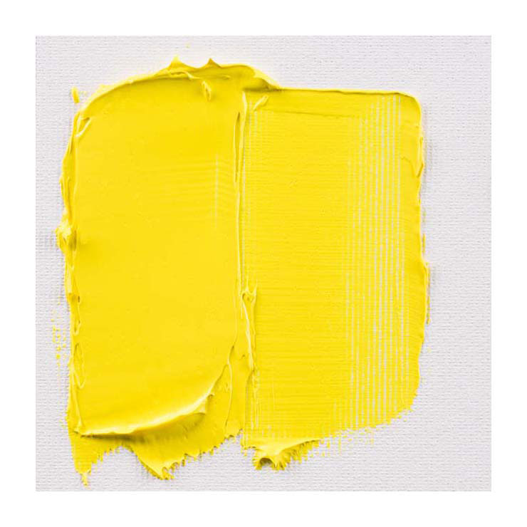 Talens Art Creation Oil Tube 40 ml Limone Giallo (Primaria)