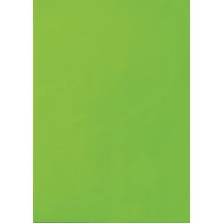 Etichette multifunzionali verde neon 25 pezzi